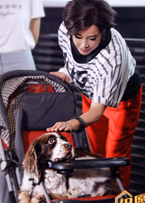 Dù đã ngoài 60 tuổi nhưng Lưu Hiểu Khánh vẫn giữ được làn da căng mịn, vóc dáng khá thon gọn.