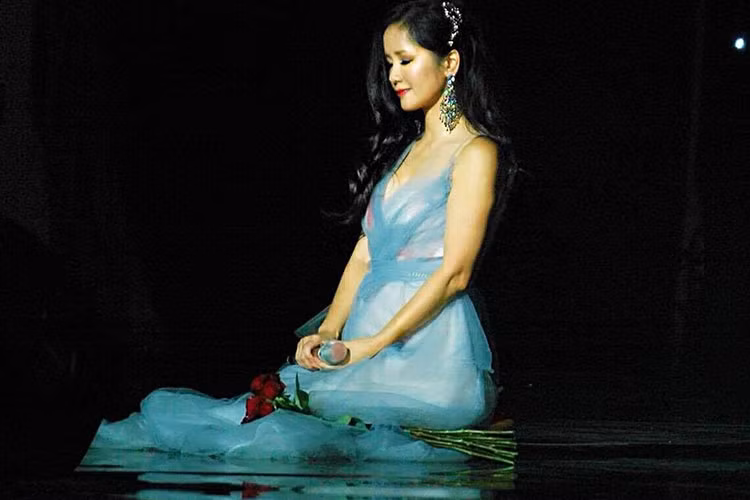 Theo lời mẹ của Hồng Nhung, thời điểm đó, Hồng Nhung đi diễn nhiều, chưa muốn có con trong khi ông xã của cô ghen với sự nghiệp của vợ.