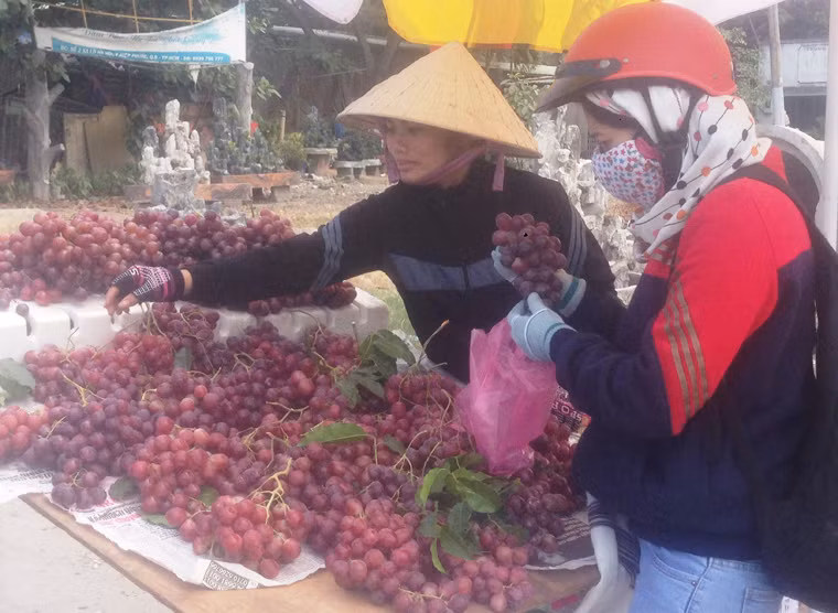 Ví thế, rất đông người đi chơi Tết dương lịch hay những người làm ăn xa trên đường về quê đã dừng lại mua mỗi người vài cân về làm quà...