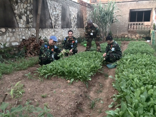 Si quan Viet Nam tao ra dieu ky dieu o Trung Phi