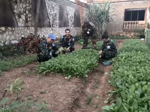 Si quan Viet Nam tao ra dieu ky dieu o Trung Phi