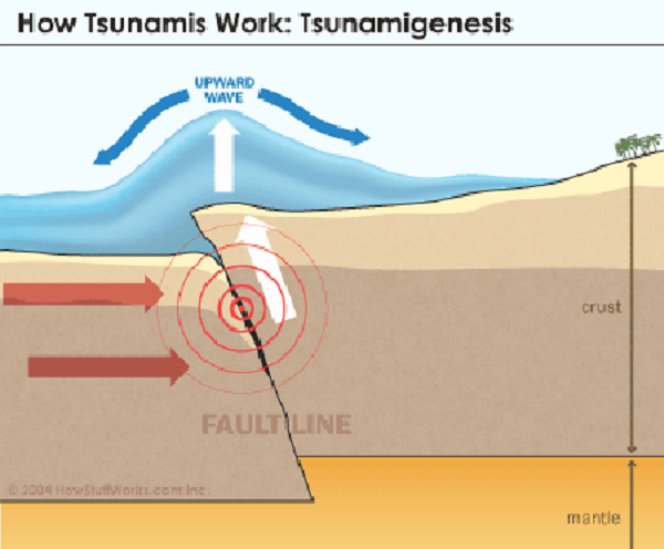 Danh sách các thành phố ven biển được nghiên cứu xác định là gần với các đứt gãy trượt dốc này bao gồm: TP San Francisco, bang California và vùng vịnh rộng lớn hơn ở Mỹ; các thành phố dọc theo Vịnh Izmit ở Thổ Nhĩ Kỳ; cũng như các trung tâm dân cư dọc theo Vịnh Al-Aqaba ở Ai Cập.