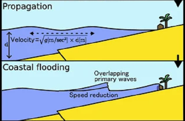 Sau khi nghiên cứu, các nhà khoa học đã kết luận các đứt gãy trượt sóng có thể tạo ra sóng thần khi có một trận động đất xen kẽ.