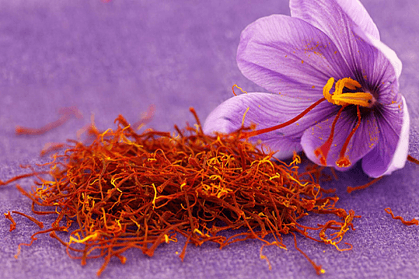 Nhụy hoa nghệ tây (saffron) là nguyên liệu đắt đỏ nhất thế giới, được rao bán với giá từ 350 nghìn đồng tới 450 nghìn đồng 1gram tương đương 350 – 450 triệu đồng/kg tuỳ vào chất lượng và nơi xuất xứ. 