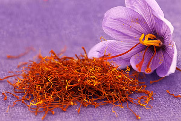 Nhụy hoa nghệ tây (saffron) là nguyên liệu đắt đỏ nhất thế giới, được rao bán với giá từ 350 nghìn đồng tới 450 nghìn đồng 1gram tương đương 350 – 450 triệu đồng/kg tuỳ vào chất lượng và nơi xuất xứ. 