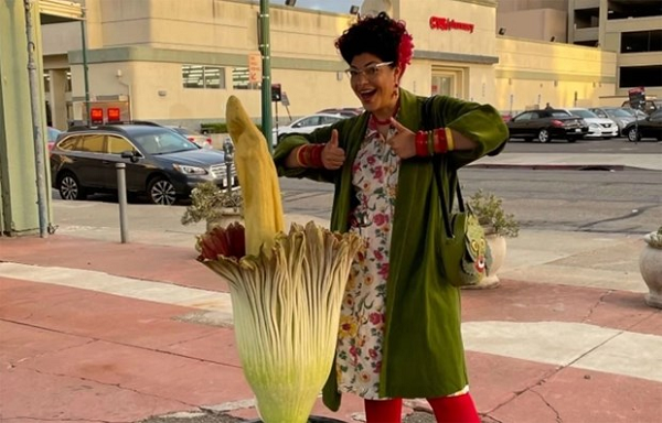 Hoa xác thối có 5 mùi: mùi acid disulphide (mùi mồ hôi), dmethyi disulphide (mùi tỏi), dimethyl trisulphide (thịt đang phân hủy), indole (phân người) và trimerthylamine (cá đang thối rữa).