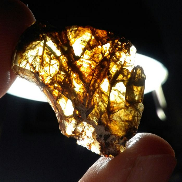 Nhờ những lí do trên, thiên thạch Fukang thường được ca ngợi là một trong những khám phá thiên thạch vĩ đại nhất của thế kỷ 21.