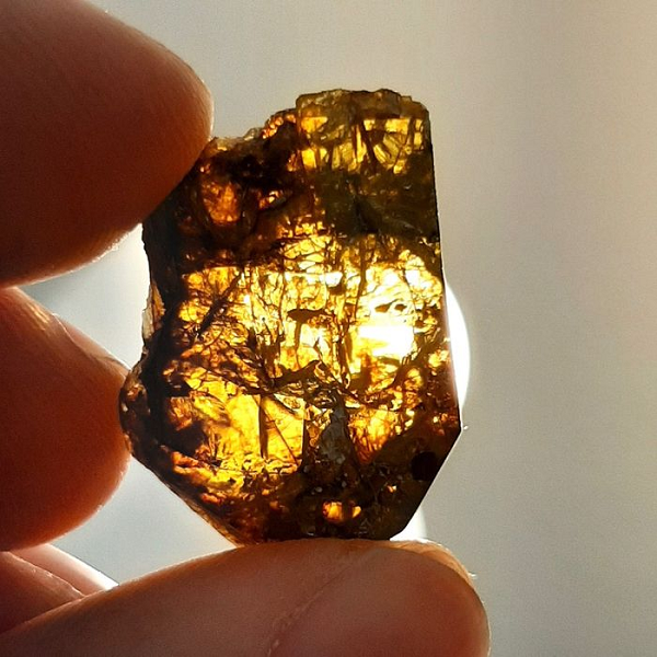 Loại thiên thạch này được đặt theo tên của Simon Peter Pallas, một bác sĩ và nhà tự nhiên học người Đức, người đầu tiên mô tả thiên thạch Krasnojarsk Pallasite ở Nga vào năm 1772.