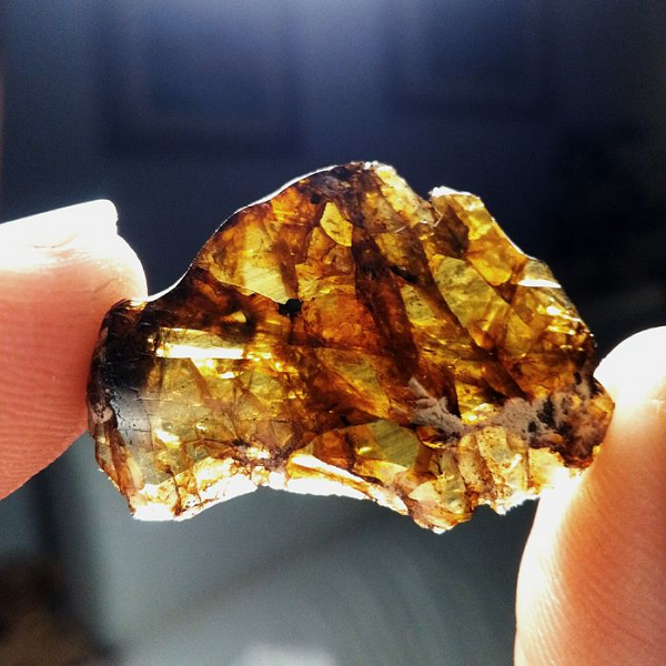 Năm 2008, phần to nhất này của thiên thạch đã được đấu giá ở Bonham's, New York với giá khởi điểm khoảng 2 triệu USD.