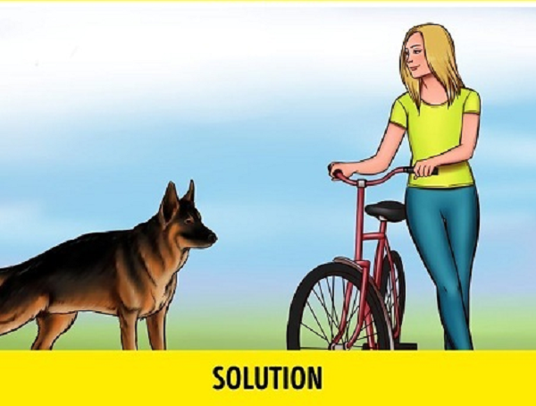 Nếu con chó đến gần bạn và bắt đầu ngửi, hãy để yên. Bạn đừng di chuyển và đừng cố chạm tay vào người nó. Hành động này có thể được coi là một cuộc tấn công.