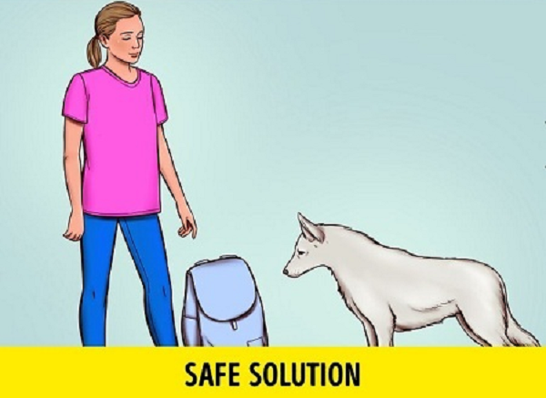 Trong trường hợp không may trên đường bạn gặp phải chó dữ có ý định tấn công, hãy tránh ánh mắt của nó, đặt thứ gì đó ở giữa để tạo khoảng cách. Vật đó có thể là ba lô, ô, giày hoặc áo khoác. Hy vọng con vật sẽ nghĩ những thứ đó là trở ngại giữa bạn và nó nên bị phân tâm.