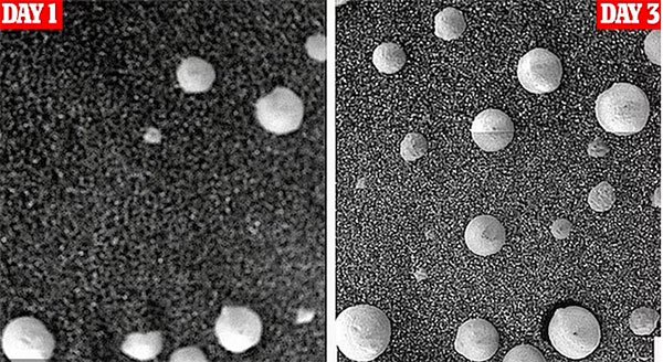 2 bức ảnh chụp cách nhau 2 ngày trên bề mặt sao Hỏa đã có sự thay đổi. Theo giải thích từ NASA đó chỉ là đá chuyển dịch do băng tan, tuy nhiên nhóm nghiên cứu lại khẳng định đây là vật thể giống nấm như đã mọc thêm.