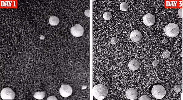 2 bức ảnh chụp cách nhau 2 ngày trên bề mặt sao Hỏa đã có sự thay đổi. Theo giải thích từ NASA đó chỉ là đá chuyển dịch do băng tan, tuy nhiên nhóm nghiên cứu lại khẳng định đây là vật thể giống nấm như đã mọc thêm.