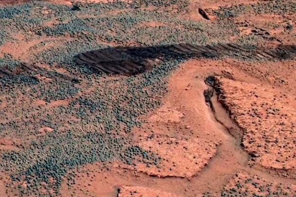 Nhóm nghiên cứu cho rằng trong ảnh là nấm mang màu xanh của diệp lục được trải dài trên bề mặt sao Hỏa, tuy nhiên bên phía NASA lại cho rằng đây chỉ là đá.
