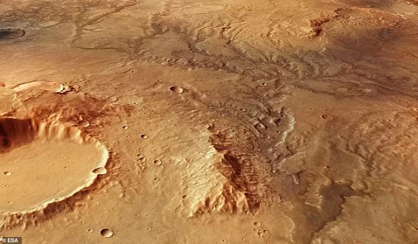 Ngoài ra, họ cũng cho rằng các vệt tối trong hình ảnh Curiosity chụp được trên bề mặt sao Hỏa là bằng chứng của nấm đen, nấm mốc, địa y, tảo và các loài khử lưu huỳnh khác, giống như thực vật bậc thấp của Trái đất.