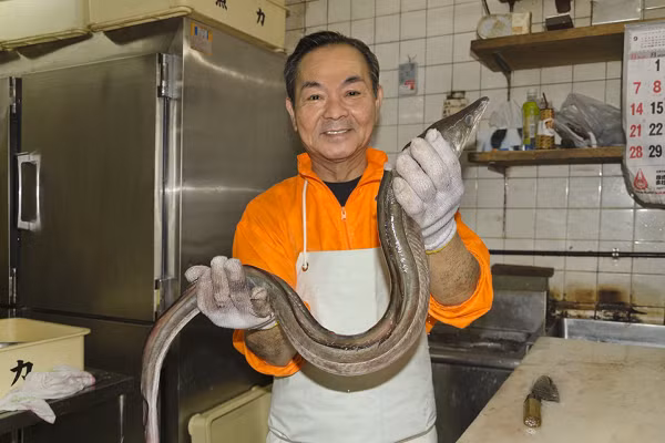 Hiện nay lượn Nhật Bản bị xếp vào loại nguy cấp (theo IUCN - Liên minh Quốc tế Bảo tồn Thiên nhiên và Tài nguyên Thiên nhiên). Đó cũng chính là lý do đẩy giá lươn tăng cao mỗi năm.