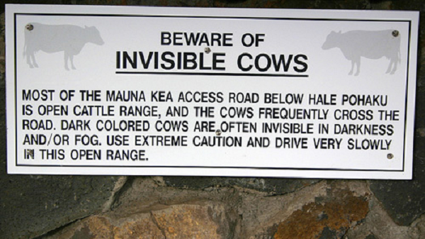 Biển báo: "Hãy cẩn thận với những con bò vô hình!"