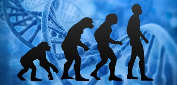 Trong suốt 3 thế kỷ qua, con người không ngừng tiến hóa. Ví dụ ngày càng có ít người ở động mạch dưới tuyến giáp, và nó đã hoàn toàn biến mất vào cuối thế kỷ 20.