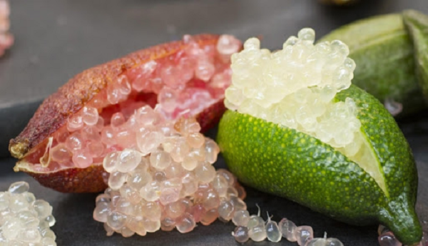 Vỏ chanh trứng cá có thể đem phơi khô, dùng làm gia vị. Do nhu cầu về loại chanh này cao nên nhiều nơi đưa chanh trứng cá vào trồng trọt đại trà, các trang trại mọc khắp nước Pháp, California (Mỹ).