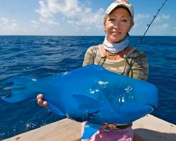 Cá vẹt lam là một loài cá có màu xanh lam trong họ cá vẹt, thuộc chi Scarus. Người ta phát hiện loài cá này ở Đại Tây Dương. Những con trưởng thành có mõm lớn, giống như mỏ chim vẹt.