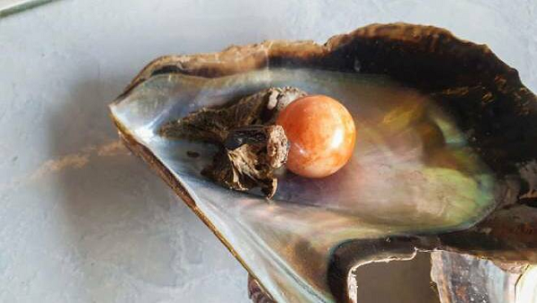 Ngọc trai Melo được hình thành trong vỏ của loài ốc biển có tên Melo Melo hay còn gọi là ốc giác. Loài ốc này có tuổi thọ kéo dài từ 4 - 31 năm. Tại Châu Á chúng có ở các vùng Hồng Kông, dọc bờ biển Việt Nam, Campuchia, Thái, Philippines, xuống đến Indonesia là hết.