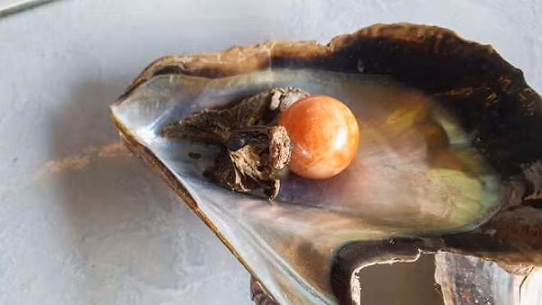 Ngọc trai Melo được hình thành trong vỏ của loài ốc biển có tên Melo Melo hay còn gọi là ốc giác. Loài ốc này có tuổi thọ kéo dài từ 4 - 31 năm. Tại Châu Á chúng có ở các vùng Hồng Kông, dọc bờ biển Việt Nam, Campuchia, Thái, Philippines, xuống đến Indonesia là hết.