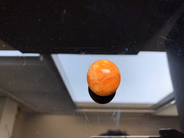 Ngọc Melo cực kỳ hiếm, mặc dù các nhà nghiên cứu đang cố gắng để tạo ra loại ngọc này nhưng chưa thành công. Ngọc trai Melo được thu thập chủ yếu ở Châu Á và chỉ mới được đưa vào phương Tây.