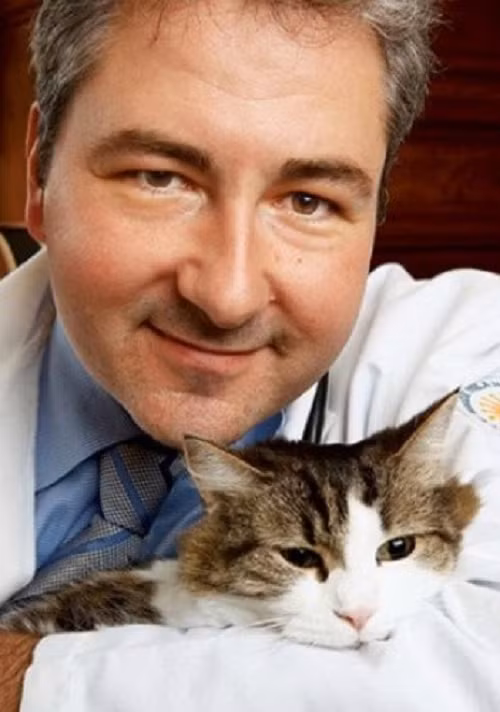 Cho đến nay, câu chuyện của chú mèo Oscar vẫn chưa thể giải thích rõ ràng bằng khoa học, do đó nhiều người vẫn tin rằng chú mèo này thật sự có khả năng "tiên tri" trước về cái chết.