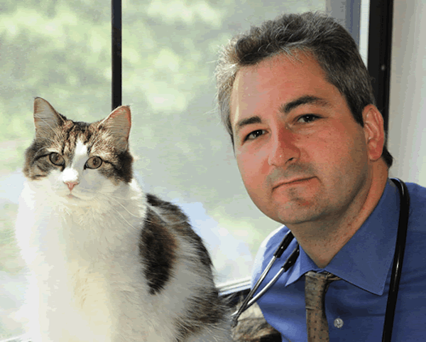 Sau nhiều năm, bác sĩ David Dosa bắt đầu nghi ngờ Oscar có khả năng cảm nhận trước thời điểm ra đi của bệnh nhân.