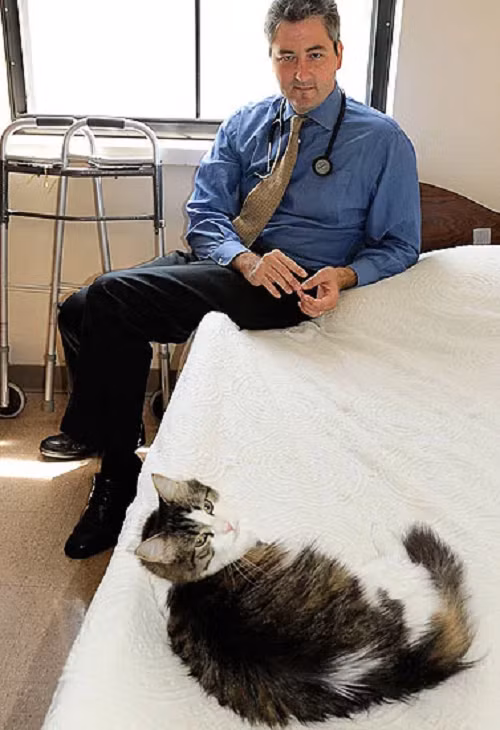 Thậm chí, khi người thân của một bệnh nhân yêu cầu đưa Oscar ra ngoài, nó vẫn ra sức cào vào cửa chính, kêu gào. Rõ ràng nó muốn ở trong phòng và không vui vì bị người ta đuổi ra ngoài. Và người này cũng mất ngay sau đó.