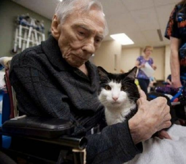 Đã có hơn 100 trường hợp đã được Oscar dự đoán chính xác, giúp Oscar trở thành ''chú mèo tử thần'' vô cùng nổi tiếng trên truyền thông Mỹ những năm 2007 - 2010.