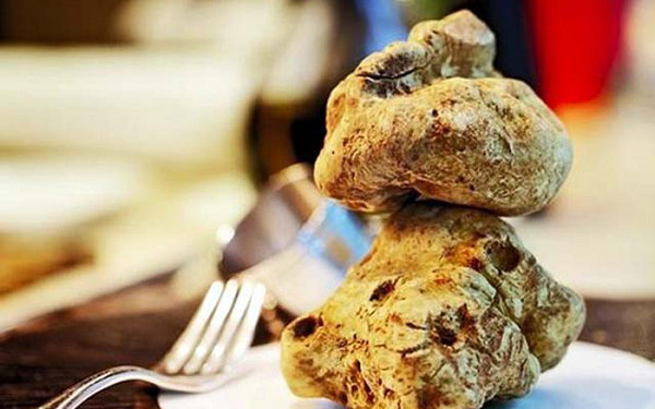 Nấm truffles có hai loại là nấm trắng và nấm đen. Trong sách kỷ lục Guinness, nấm truffles lớn nhất được tìm thấy từ trước tới giờ là một cục nấm trắng; nấm trắng cũng đắt hơn đen.