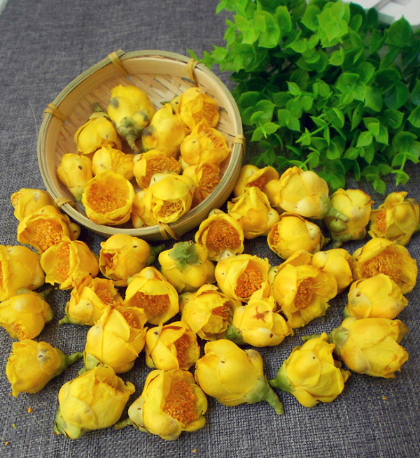 Đặc biệt, trà hoa vàng có sự kiềm chế sự sinh trưởng của các khối u đến 33% trong khi y học cho rằng chỉ cần đạt 30% là có thể xem thành công trong điều trị ung thư.