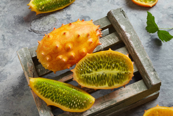 Dưa Kiwano có các chất giúp ích cho việc sản xuất chất dẫn truyền thần kinh điều chỉnh tâm trạng ở con người. Đồng thời cũng là nhân tố chính trong việc hỗ trợ hệ thống miễn dịch, tim, da và xương.