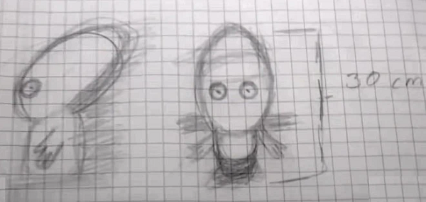 Sau khi sinh vật ngoài hành tinh này rời UFO, đi xong một vòng và quay về thì đã bay đến nơi nào đó không xác định được, chỉ để lại dấu vết hình tròn trên nền cỏ.