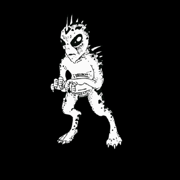 Theo các nhân chứng, người ngoài hành tinh có ngoại hình khá giống quỷ hút máu dê chupacabra trong truyền thuyết của Mỹ. Nó chỉ cao khoảng 30 cm, đầu hình tròn và mắt rất to. Đặc biệt bàn tay chỉ có ba ngón.