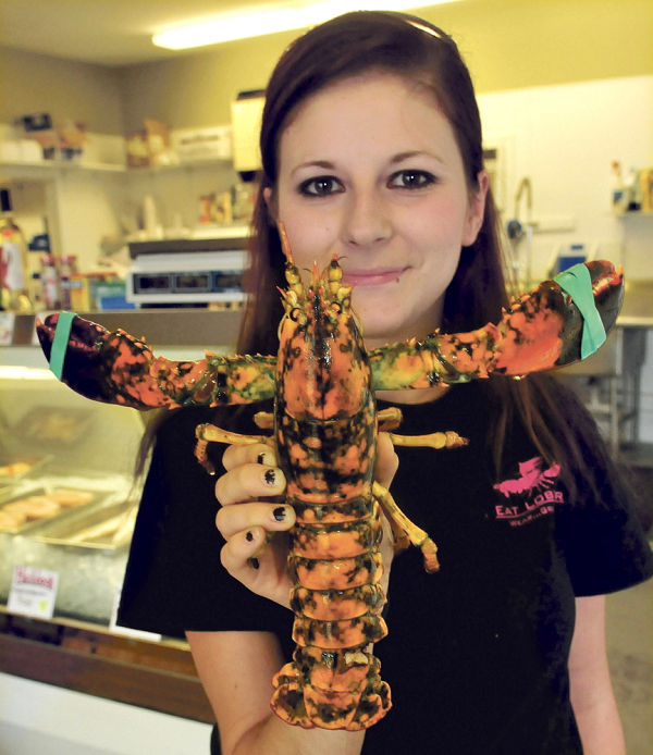 Tôm hùm cực kỳ nhạy cảm với thuốc trừ sâu, ngay cả ở nồng độ một phần tỷ. Chúng rất nhạy cảm, nếu bạn có một căn phòng với một bể nuôi tôm hùm, và bạn phun thuốc diệt côn trùng chỉ năm giây ở cuối phòng, có khả năng tất cả những con Tôm hùm trong bể nuôi sẽ chết vào cuối ngày.