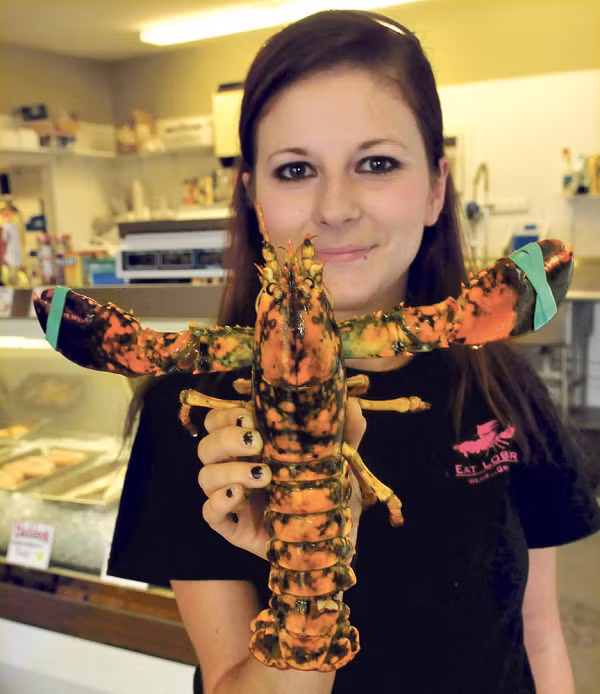 Tôm hùm cực kỳ nhạy cảm với thuốc trừ sâu, ngay cả ở nồng độ một phần tỷ. Chúng rất nhạy cảm, nếu bạn có một căn phòng với một bể nuôi tôm hùm, và bạn phun thuốc diệt côn trùng chỉ năm giây ở cuối phòng, có khả năng tất cả những con Tôm hùm trong bể nuôi sẽ chết vào cuối ngày.