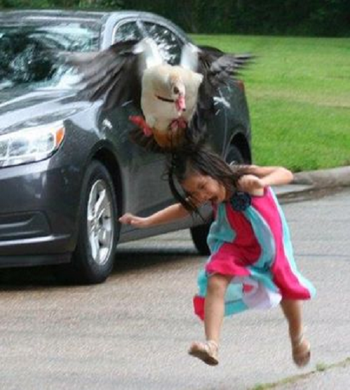 Những chú chó có thể sẽ nằm ngoan một chỗ do bị đầu độc. Trong khi đó, thị lực của ngỗng thường kém về đêm. Do đó, nếu những tên trộm có ý định đầu độc ngỗng bằng thức ăn thì chúng khó có thể nhìn thấy để ăn.