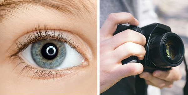 Độ phân giải của đôi mắt chúng ta lên đến... 576 triệu điểm ảnh, nhiều hơn bất cứ loại máy ảnh kỹ thuật số tân tiến nào hiện nay.