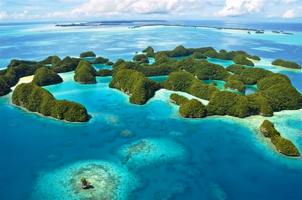 Nhà vật lý Anton Wallner cùng nhóm nghiên cứu từ Đại học Quốc gia Úc đã tìm thấy đồng vị plutonium-224 hiếm - thứ không thuộc về Trái đất, trong các mẫu lớp vỏ biển sâu gần 1.500 mét bên dưới Thái Bình Dương.