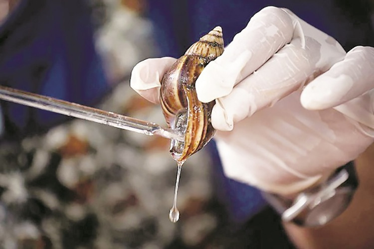 Với các thành phần dưỡng chất tuyệt vời, dịch nhầy ốc sên giúp kích thích sự hình thành collagen và elastin, bảo vệ da khỏi các gốc tự do, làm dịu da, sửa chữa các mô bị tổn thương và phục hồi hydrat hóa. Nó cũng được bổ sung để điều trị da khô, nếp nhăn và vết rạn da, mụn trứng cá và hồng ban, đốm đồi mồi, vết bỏng, sẹo, vết dao cạo và thậm chí là mụn cóc phẳng.