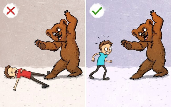 Gấu hầu như không chủ động tấn công con người. Vì vậy, nếu không may gặp chúng, hãy lùi lại từ từ, hạn chế nhìn vào mắt gấu và giữ khoảng cách để tỏ rõ bạn không có ý định xâm phạm lãnh địa của chúng.