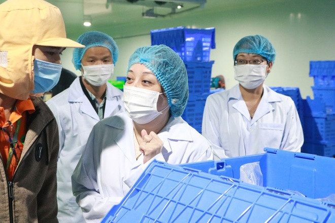 TP HCM: Mỗi năm, hơn 6100 cơ sở vi phạm an toàn thực phẩm TP HCM: Moi nam, hon 6100 co so vi pham an toan thuc pham