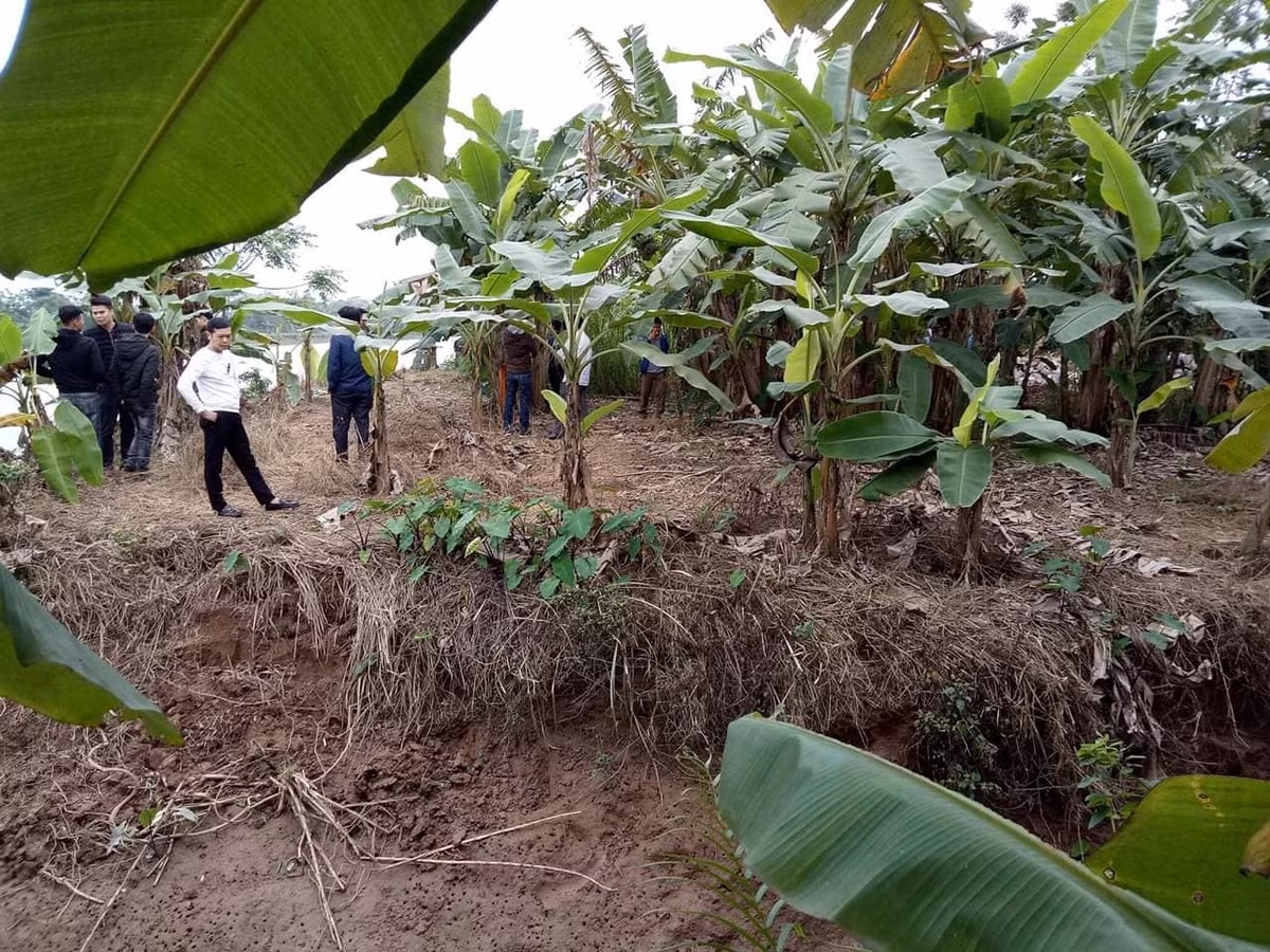 Lien tiep phat hien xac chet troi song o Thai Binh