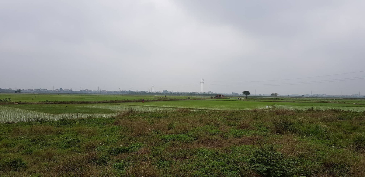 Nha may xu ly rac thai o Cam Giang: Dan lo o nhiem, chinh quyen noi gi?