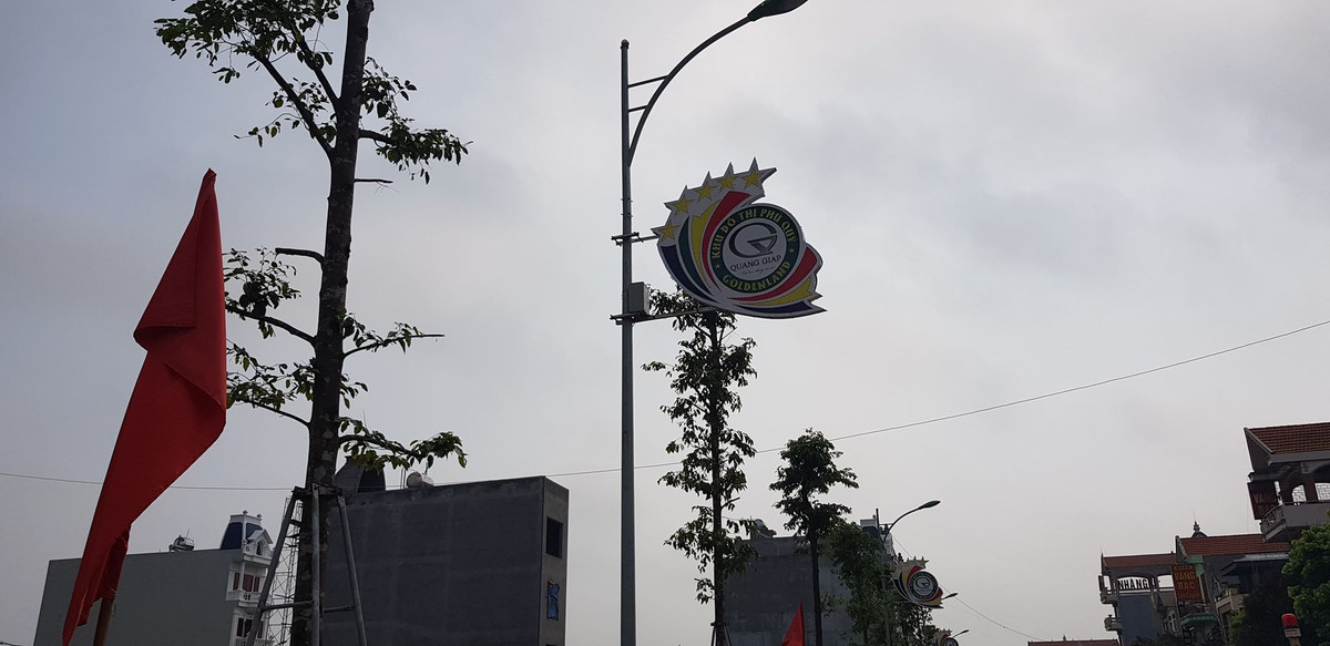 Hàng cây đã được trồng tại đường dẫn vào Khu đô thị Phú Quý (Golden land).