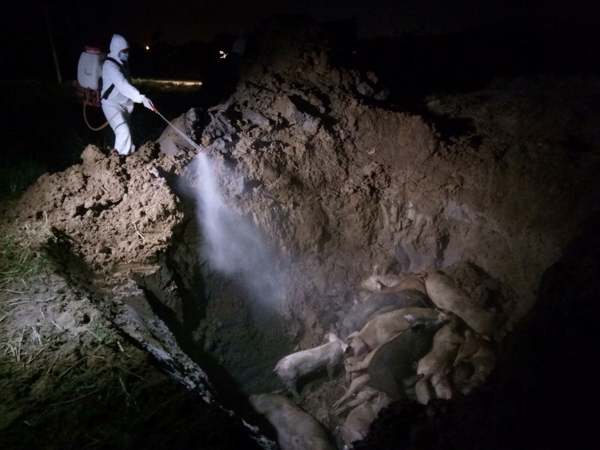 Chu fanpage “Dam Bau Thoi Trang Mami” tung tin sai su that dich ta lon?