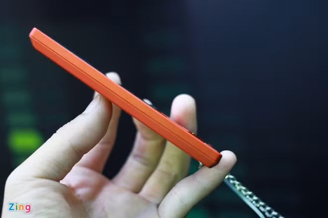 Canh trái không chứa chi tiết nào.