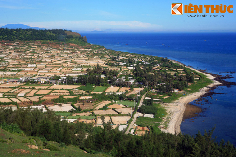 Từ sườn núi có thể quan sát toàn cảnh những ruộng tỏi nổi tiếng của Lý Sơn trải rộng trước tầm mắt, liền kề mặt biển xanh xanh kéo dài đến vô cực.